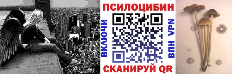 Галлюциногенные грибы Cubensis  Салаир 